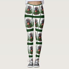 Cane Corso Christmas Leggings