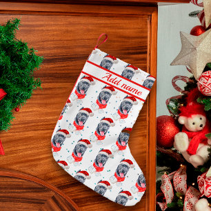 Cane Corso Dog Breed Christmas Stars Kleiner Weihnachtsstrumpf