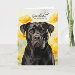 Cane Corso Dog Golden Poppies Get Well Karte