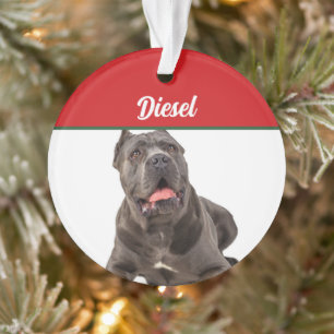 Cane Corso Dog Holiday Foto Weihnachten Ornament