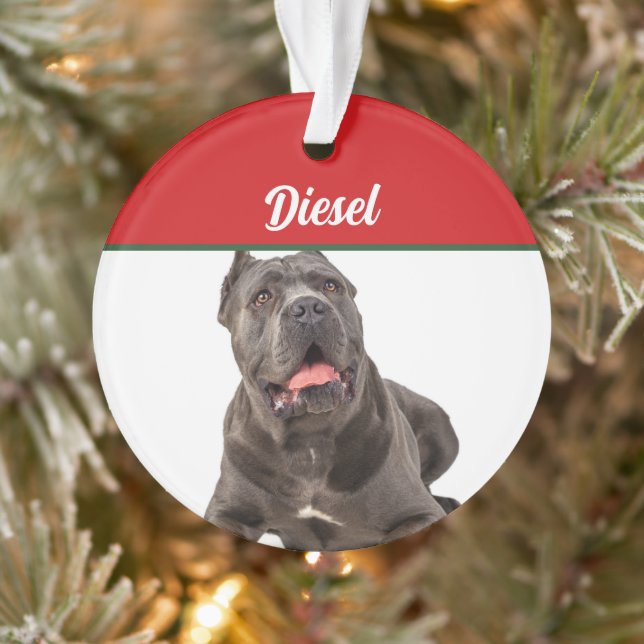 Cane Corso Dog Holiday Foto Weihnachten Ornament (Baum)