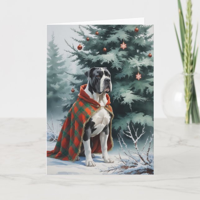 Cane Corso Dog Weihnachtsgrußkarte Karte (Vorderseite)