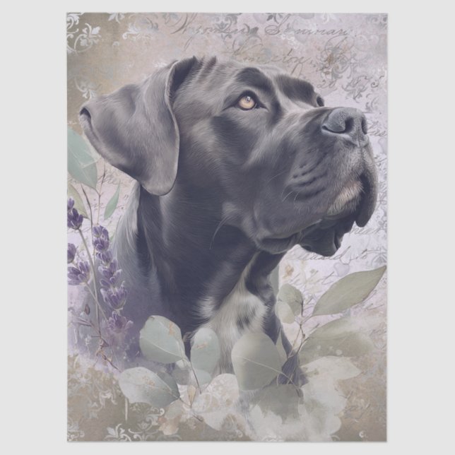 Cane Corso Floral Dog Seidenpapier (Vorderseite)