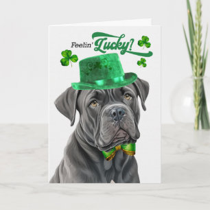 Cane Corso Hund Glücklicher St. Patrick's Day Feiertagskarte