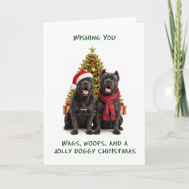 Cane Corso Hunde Weihnachten (Vorderseite)