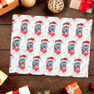 Cane Corso Hunderasse Weihnachtssterne Fleecedecke