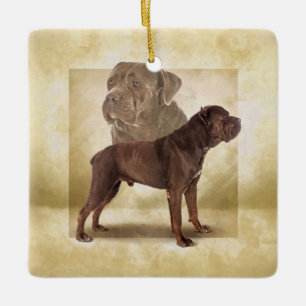 Cane Corso - Italienischer Mastiff Keramikornament