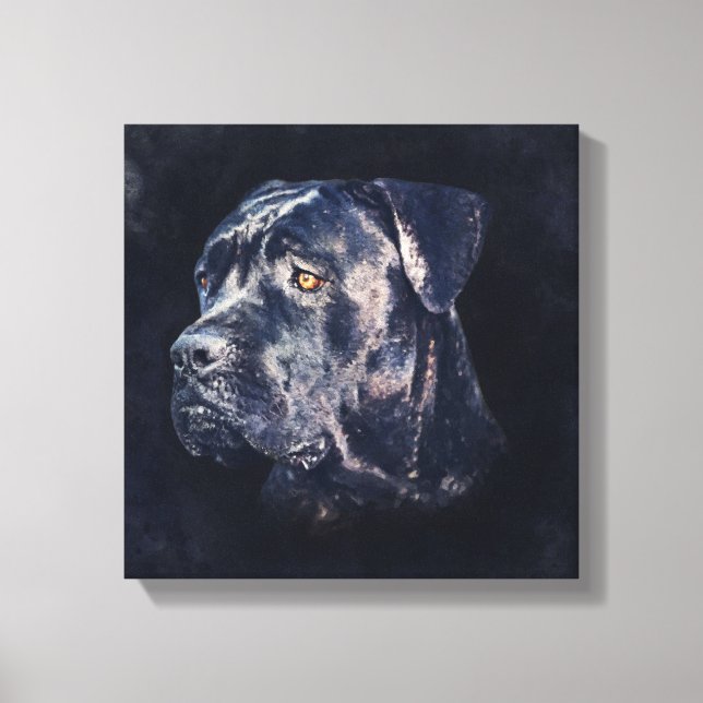 Cane Corso - Italienisches Mastiff Portrait Leinwanddruck (Vorderseite)