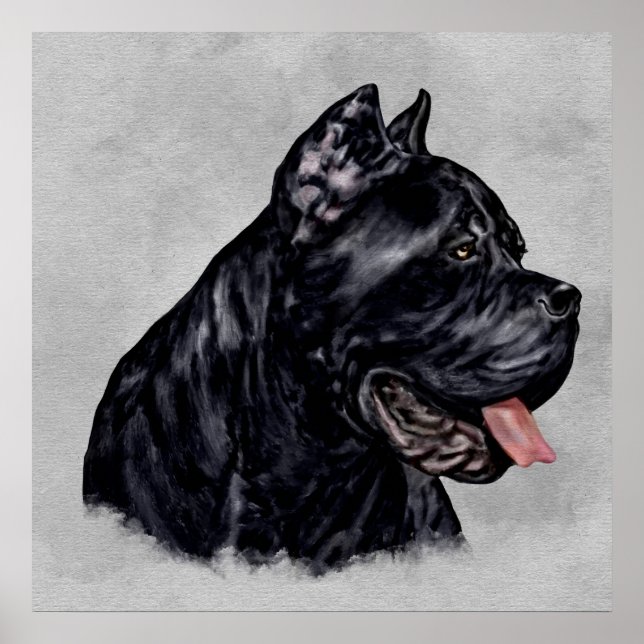 Cane Corso - Italienisches Mastiff Portrait Poster (Vorne)