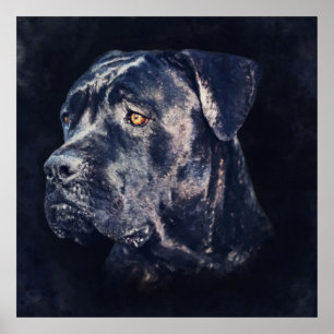 Cane Corso - Italienisches Mastiff Portrait Poster
