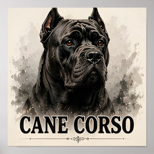 Cane Corso Mächtiges Wachhund-Hundeporträt Poster