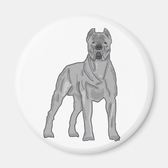 Cane Corso Magnet (Vorne)