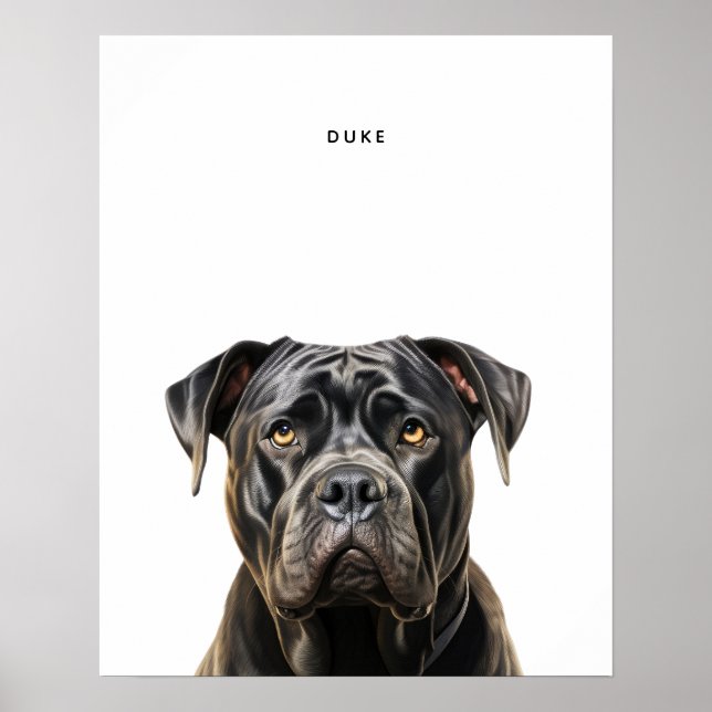 Cane Corso Personalisiert Print Poster (Vorne)