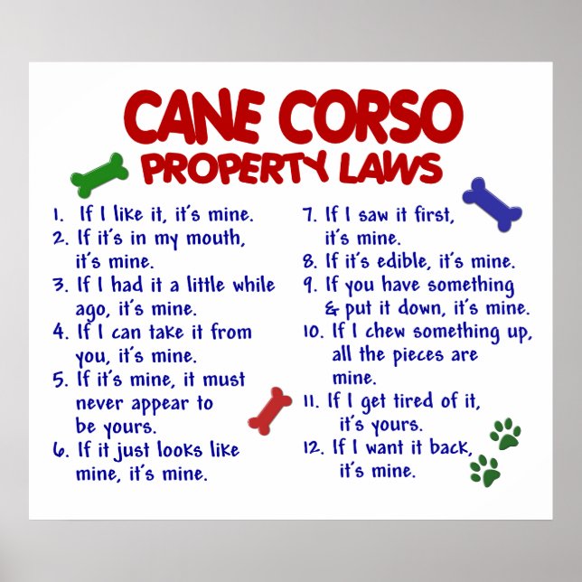 CANE CORSO PL2 POSTER (Vorne)