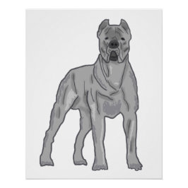 Cane Corso Poster