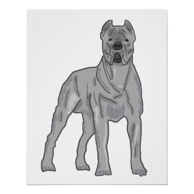 Cane Corso Poster (Vorderseite)