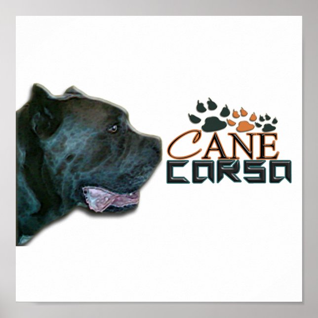 Cane Corso Poster(P) Poster (Vorne)