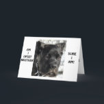 CANE CORSO SAGT BROTHER AM BURTSTAG JUNG AUSSIEHT KARTE<br><div class="desc">CANE CORSO SAGT BROTHER SEHT JEDES JAHR JEDES JAHR AUF SEINEN BIRTHTAG!</div>
