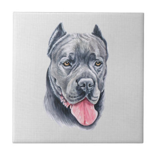 Cane Corso Tile Fliese