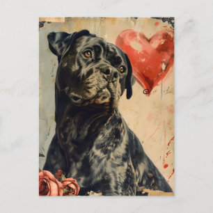 Cane Corso Vintag Valentinstag, Postkarte