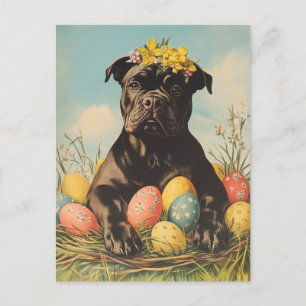 Cane Corso Vintage Ostern Postkarte