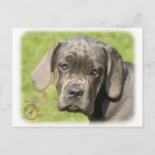 Cane Corso Welpe 8R062D-25 Postkarte