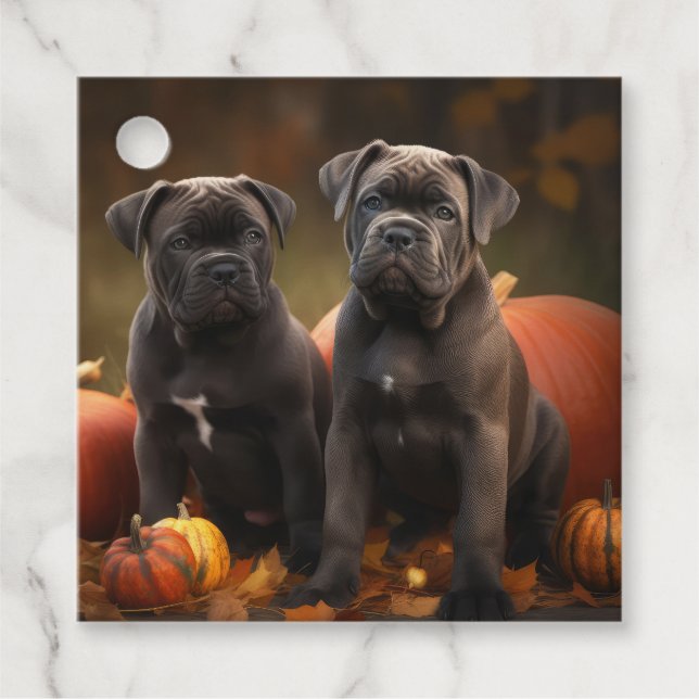 Cane Corso Welpe Autumn Delight Pumpkin Geschenkanhänger (Vorderseite)