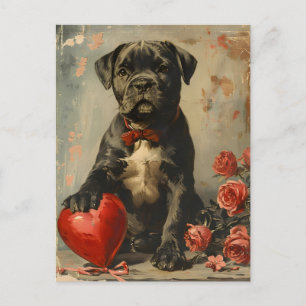 Cane Corso Welpe vintage Valentinstag Postkarte