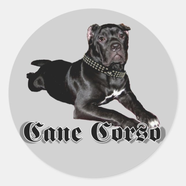 Cane Corso Welpensticker Runder Aufkleber (Vorderseite)