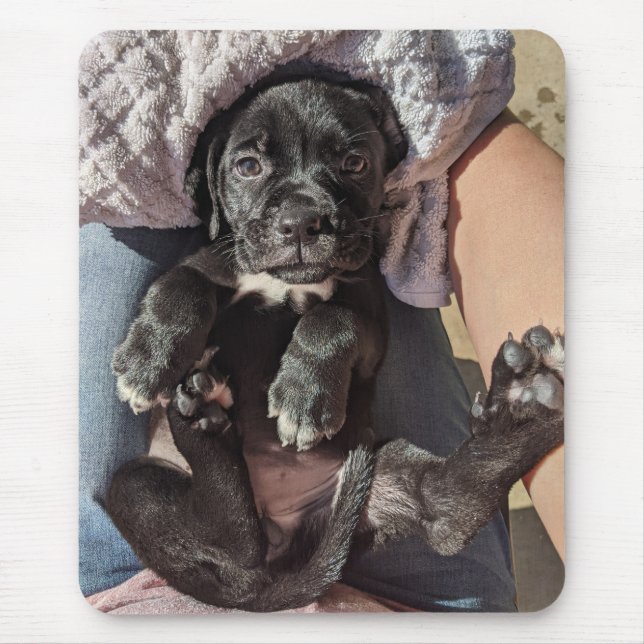 Cane Corso Welppy Mouse Pad Mousepad (Vorne)