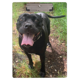 Cane Corso X Zwischenablage Klemmbrett