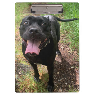 Cane Corso X Zwischenablage Klemmbrett