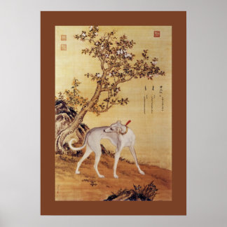 Cangshuiqiu 苍 水 ~ Greyhound ~Giuseppe Castiglione Poster