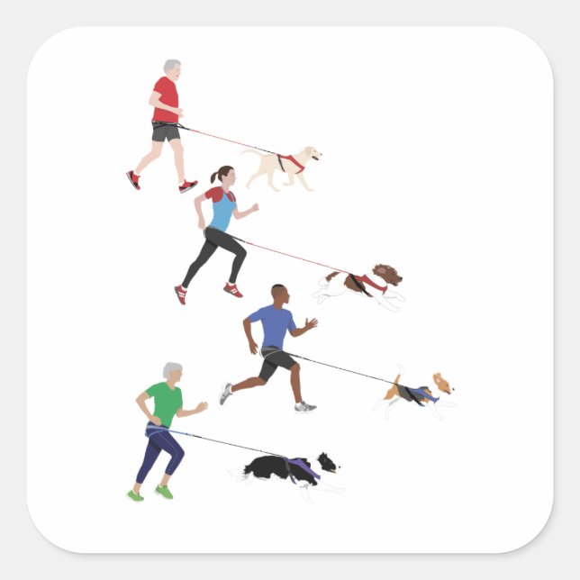 Canicross-Quartett-Aufkleber Quadratischer Aufkleber (Vorderseite)