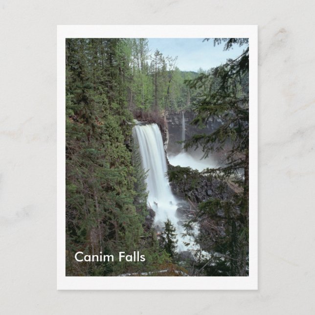 Canim Falls Postkarte (Vorderseite)