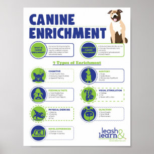 Canine-Anreicherungspaket Poster