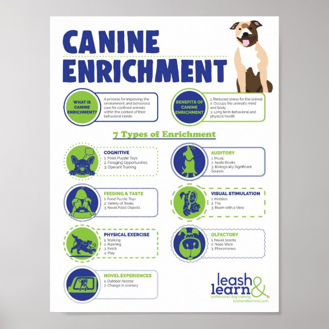 Canine-Anreicherungspaket Poster (Vorne)