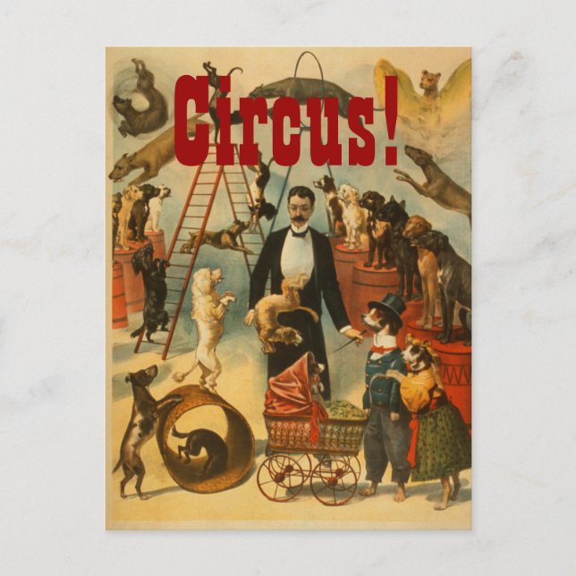Canine Circus - Postkarte Nr. 2 (Vorderseite)