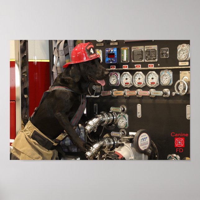 Canine Fire Department Poster (Vorne)