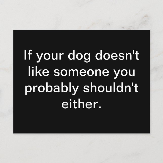 Canine Wisdom - Postkarte (Vorderseite)