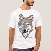 Canis Lupus 1