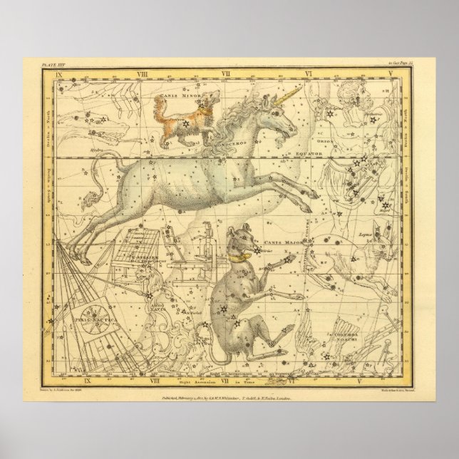 Canis Major, Canis Minor, Monoceros, Argo Navis Poster (Vorne)