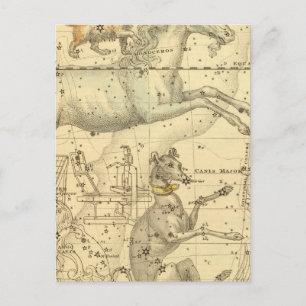 Canis Major, Canis Minor, Monoceros, Argo Navis Postkarte