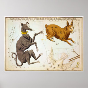 Canis Major, Lepus, Columba Noachi & Cela Bildhaue Poster