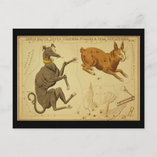 Canis Major, Lepus, Columba Noachi Cela Sculptoris Postkarte