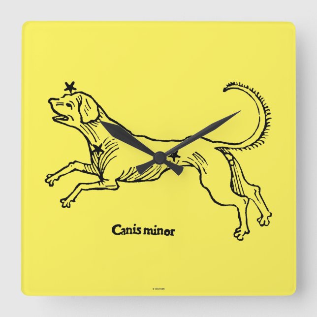 Canis-Minderjähriger, 1482 Quadratische Wanduhr (Vorderseite)