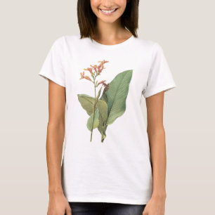 canna(Canna gigantea) von Redouté T-Shirt