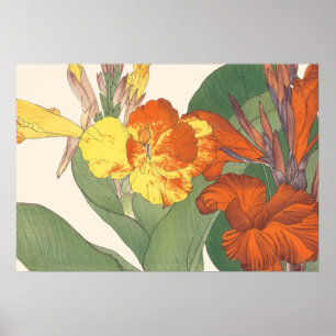 Canna Lilie Poster