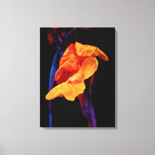 Canna Lilies auf Schwarz mit Blau Leinwanddruck