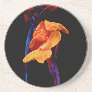 Canna Lilies auf Schwarz mit Blau Untersetzer